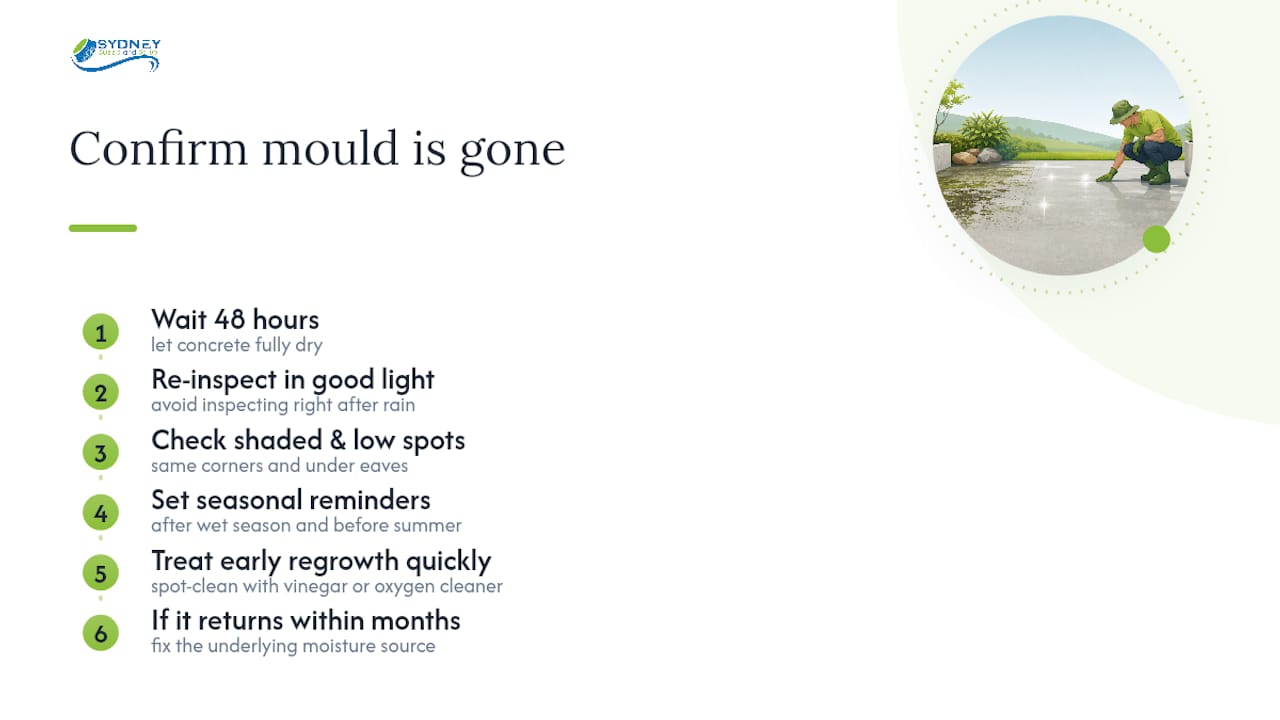 How do you know if the mould is really gone for good? — overview diagram